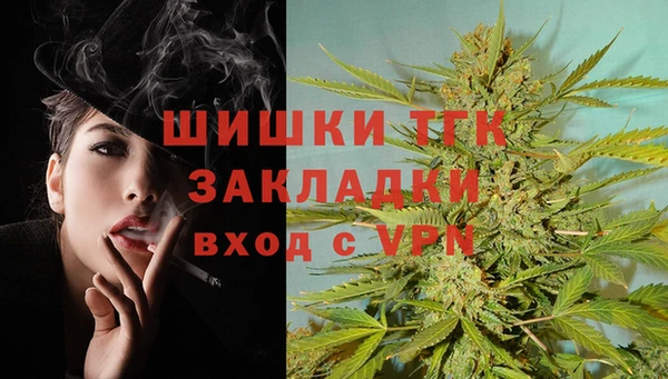 spice Гатчина