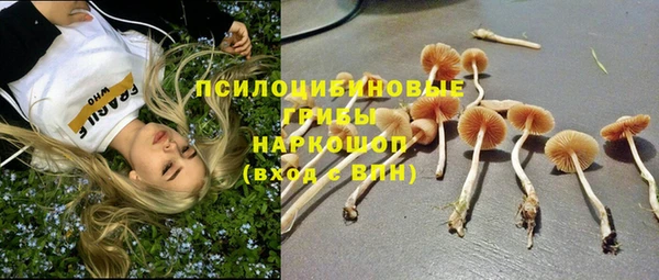 spice Гатчина