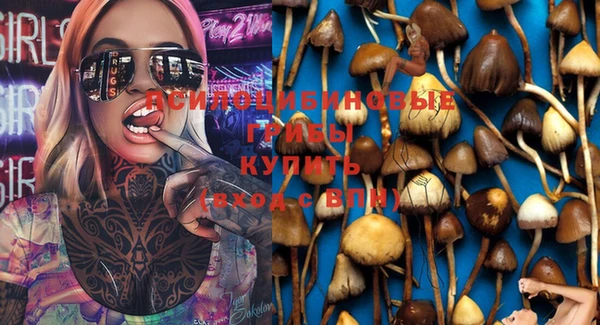 прущие крисы Медногорск