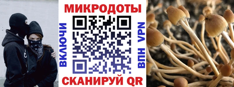 мориарти клад  хочу   Жигулёвск  Галлюциногенные грибы мухоморы 
