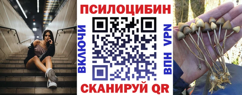 Псилоцибиновые грибы мицелий Жигулёвск