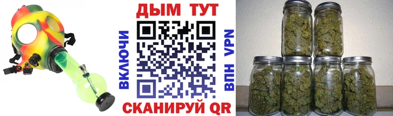 Бошки марихуана Amnesia  магазин  наркотиков  Жигулёвск 